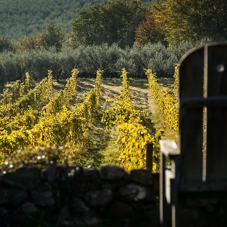 Séjour à la ferme San Martino Montepulciano Stazione